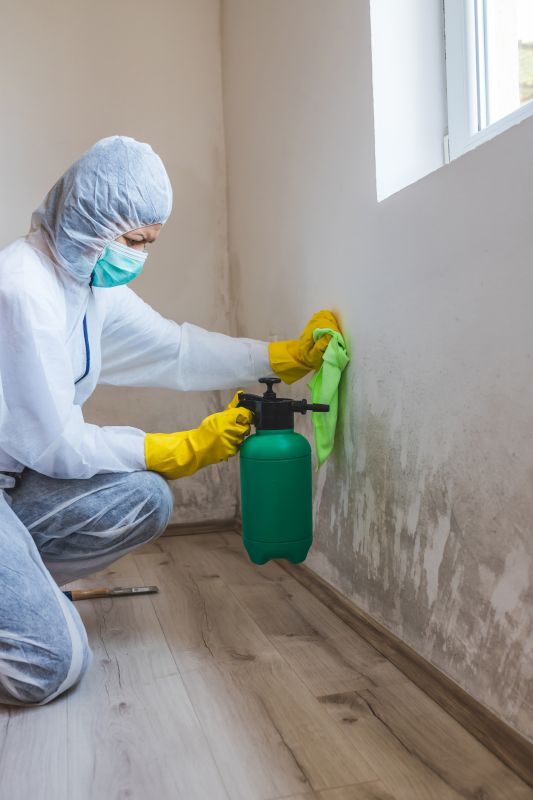 Air Duct Mold Removal in Frisco, TX