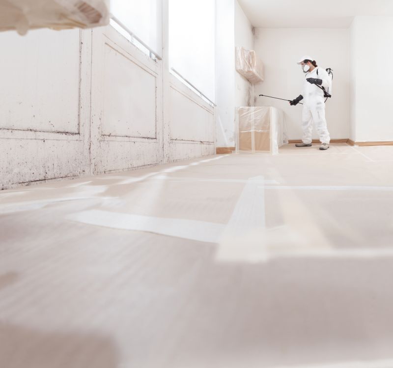 Air Duct Mold Removal in Frisco, TX