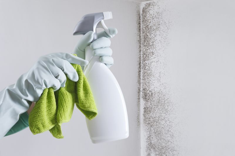 Mold Prevention