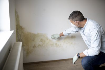 Basement Mold Remediation in Dallas, TX