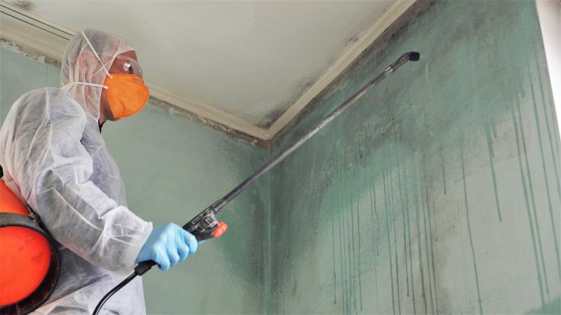 Basement Mold Remediation in Boca Raton, FL