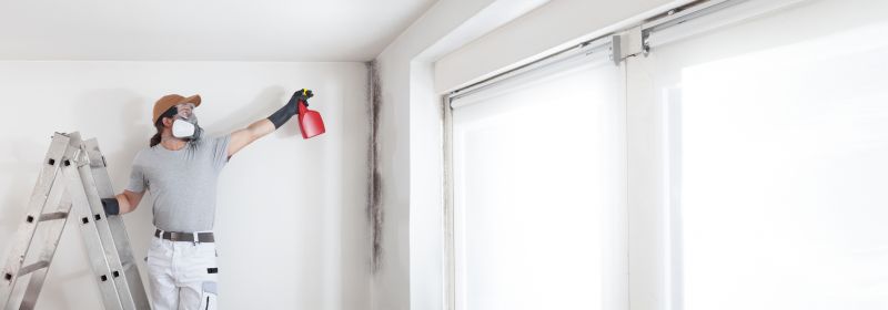 Basement Mold Remediation in Broward County, FL