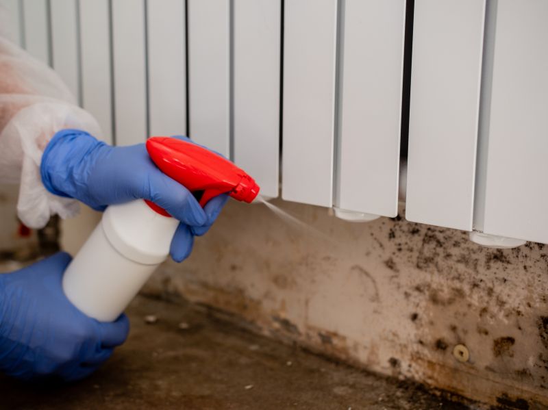 Basement Mold Remediation in Essex County, NJ