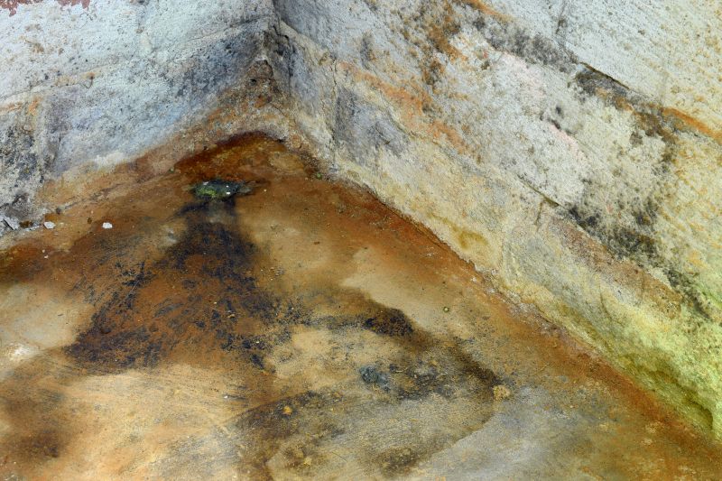 Basement Mold Removal in Broward County, FL