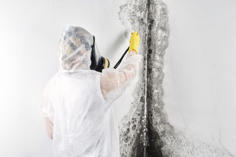 Basement Mold Removal in Boca Raton, FL