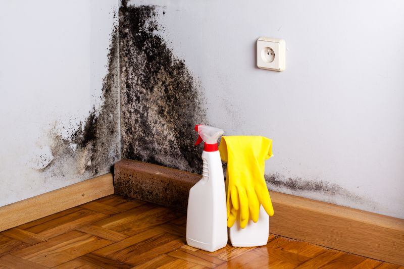 Basement Mold Removal in Boca Raton, FL