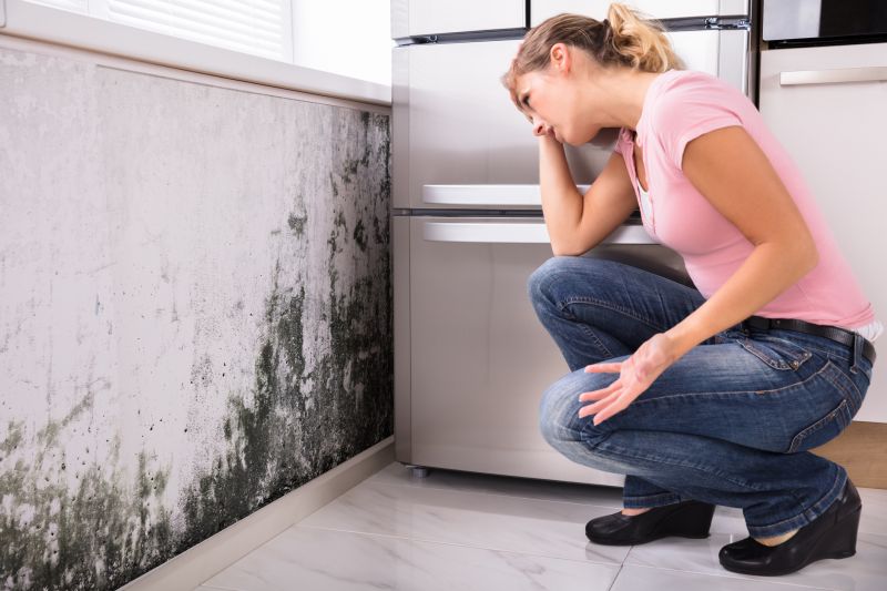 Black Mold Removal in Mckinney, TX