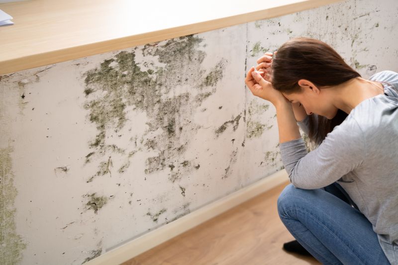 Black Mold Removal in Palm Beach County, FL