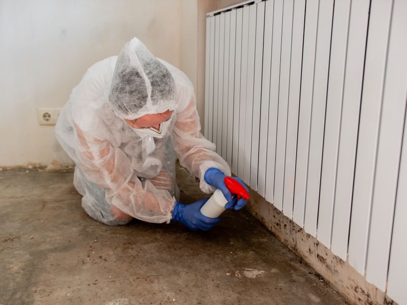 Crawlspace Mold Remediation in Fort Lauderdale, FL