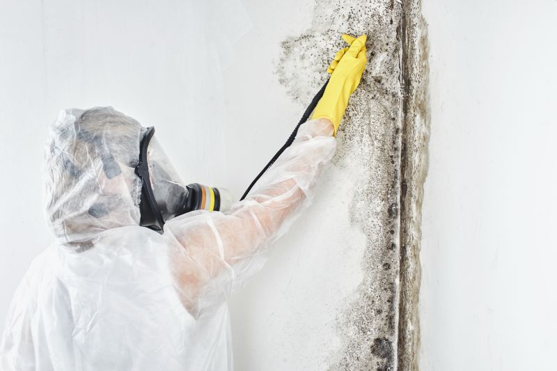 Mold Abatement in Delray Beach, FL