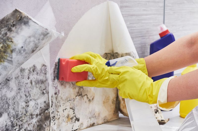 Mold Abatement Service in Essex County, NJ