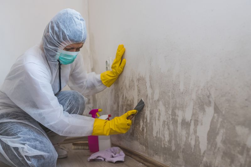 Mold Abatement Service in Frisco, TX