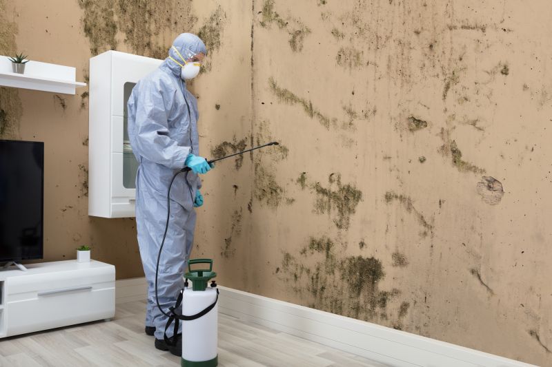 Mold Detection in Rockwall, TX