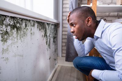 Mold Detection in Weatherford, TX