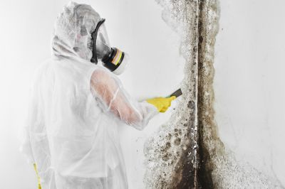Mold Inspection And Removal in Fort Worth, TX