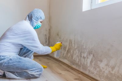 Mold Restoration in Frisco, TX