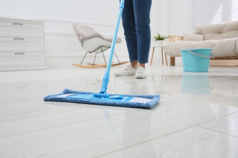 Mopping Service in Renton, WA
