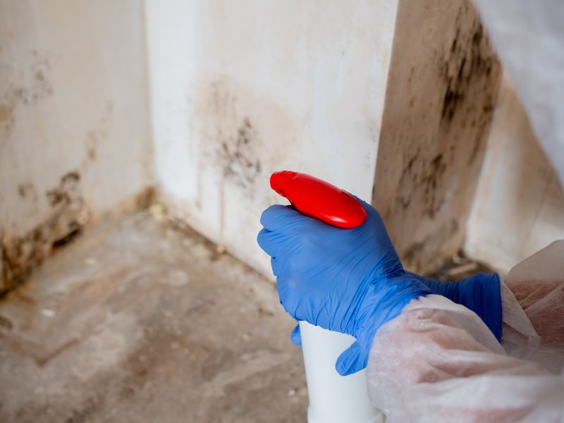 White Mold Mitigation in Jupiter, FL